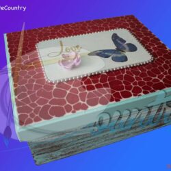 Caja Organizadora de Tapa